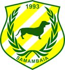 Samambaia DF logo - Gama VS Samambaia Df Result Today