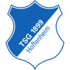 Hoffenheim U19 logo - U VS Koln U Sport