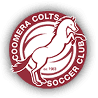 Coomera logo - Stormers VS Coomera Result