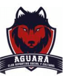 CDSC Aguara logo - Unido VS Cdsc Aguara Live