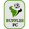 Buffles du Borgou logo - Pantheres VS Buffles Du Borgou Live Score
