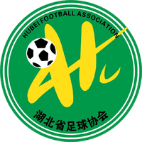 Hubei U20 logo