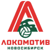 Novosibirsk logo - Novosibirsk VS Stroitel Minsk Score