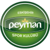 Peyman Spor W logo - W VS Peyman Spor W Sport