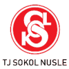 Nusle Women logo - Women VS Hradec Kralove Women Live